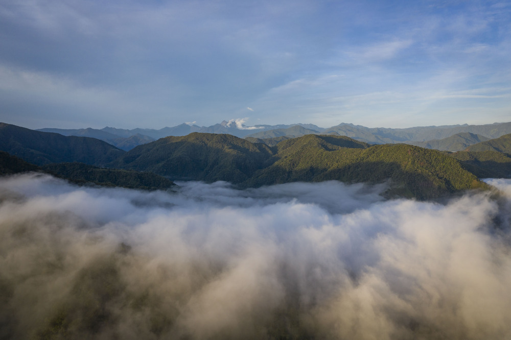 Trabajo de conservación en ríos colombianos