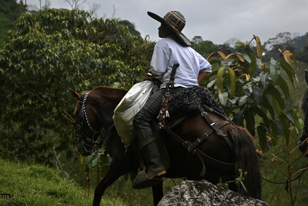 Comunidad local en Colombia